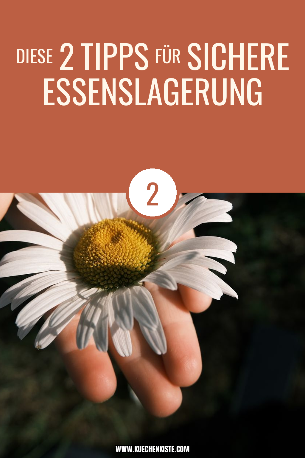 Pinterest Pin Diese 2 Tipps für sichere Essenslagerung