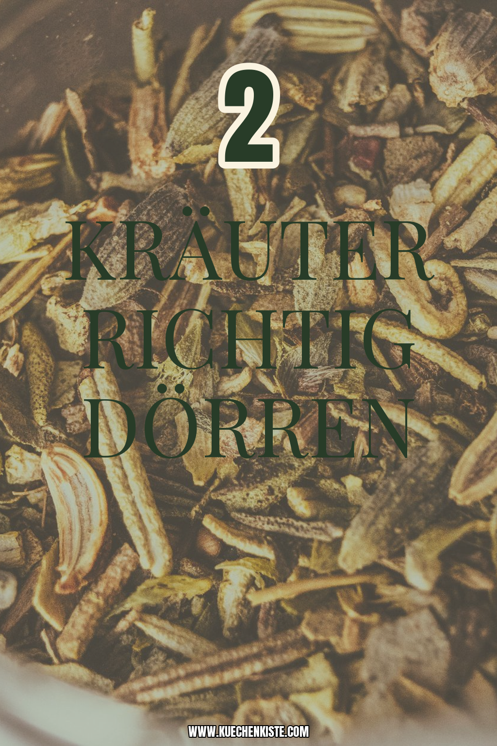 Pinterest Pin Kräuter richtig dörren