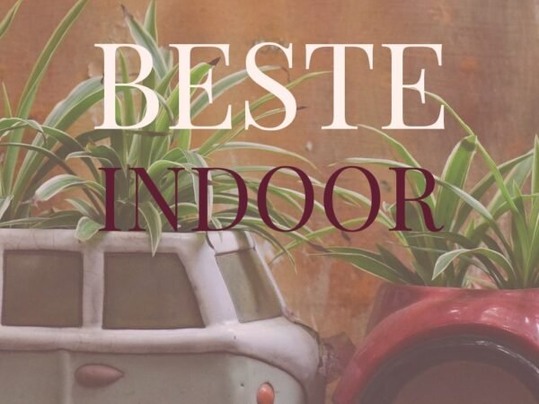 Beste Indoor-Gärten 2026: Top 10 für Kräuter, Salat + Microgreens