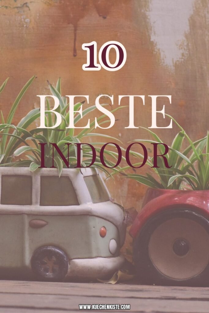 Beste Indoor-Gärten 2026: Top 10 für Kräuter, Salat + Microgreens