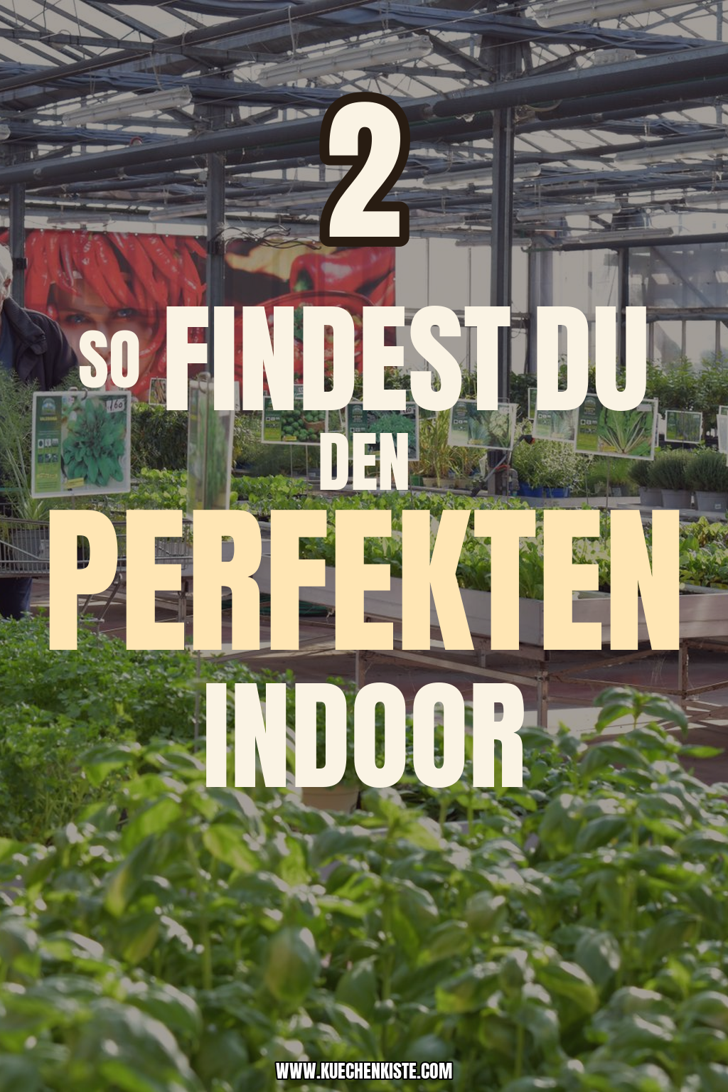 Pinterest Pin So findest du den perfekten Indoor-Garten für deine Küche