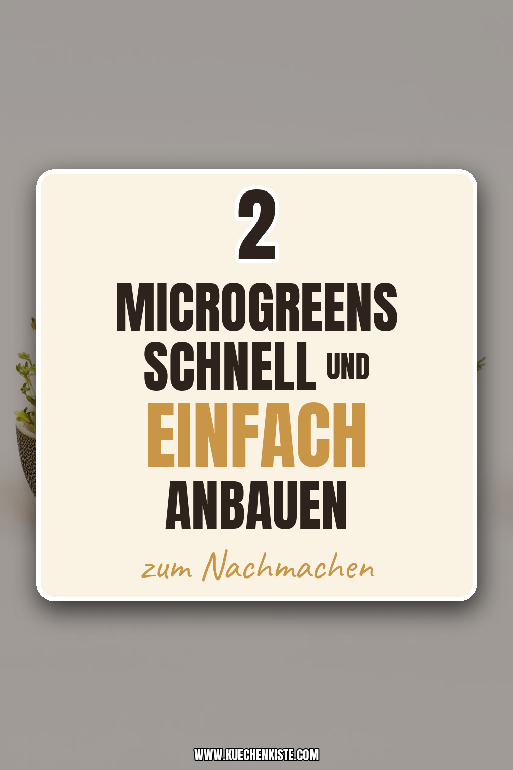 Pinterest Pin Microgreens schnell und einfach anbauen