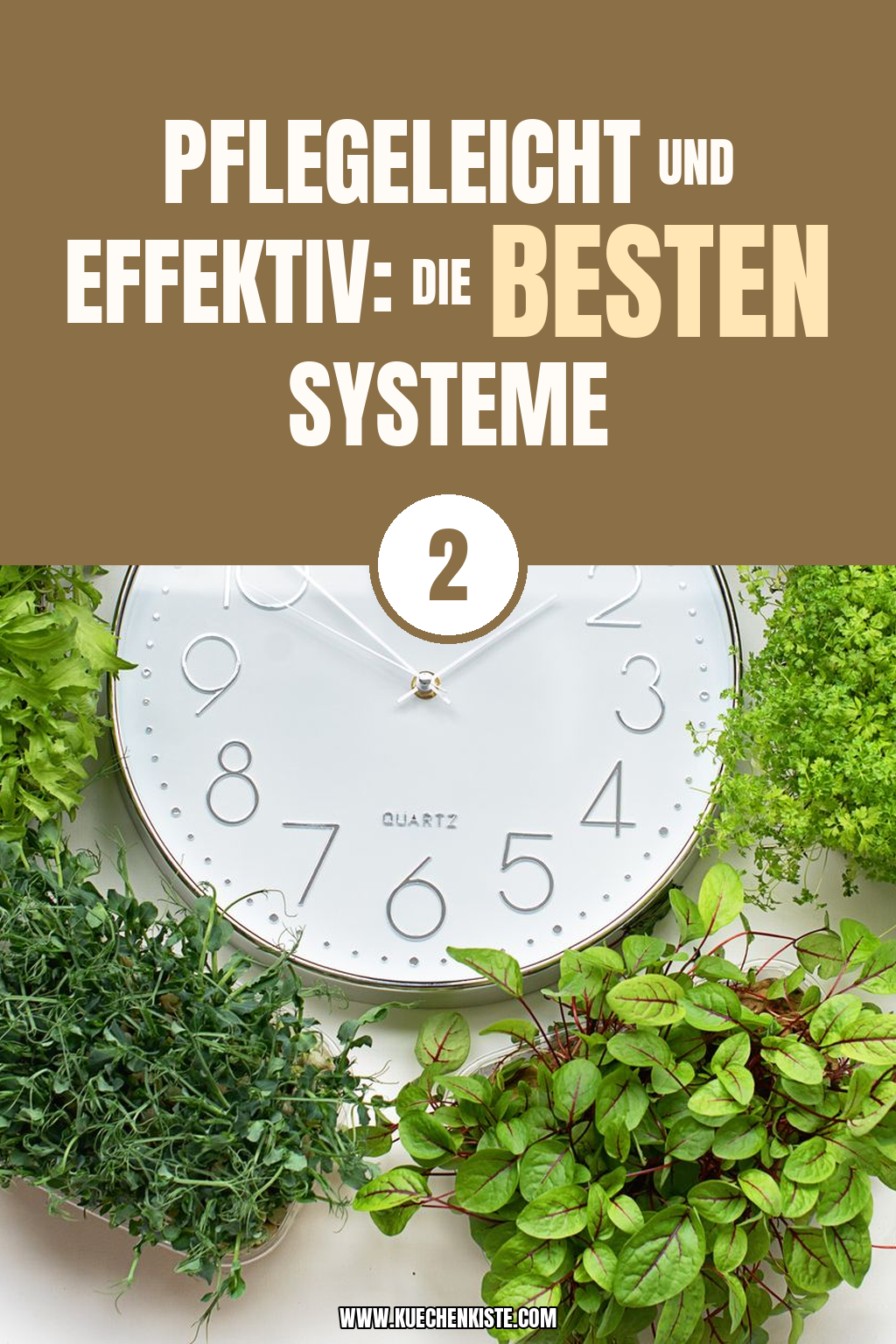 Pinterest Pin Pflegeleicht und effektiv: Die besten Systeme