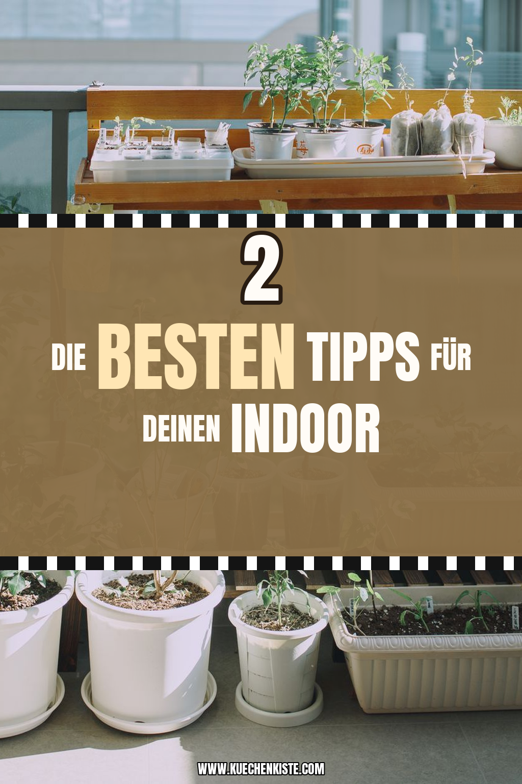 Pinterest Pin Die besten Tipps für deinen Indoor-Garten