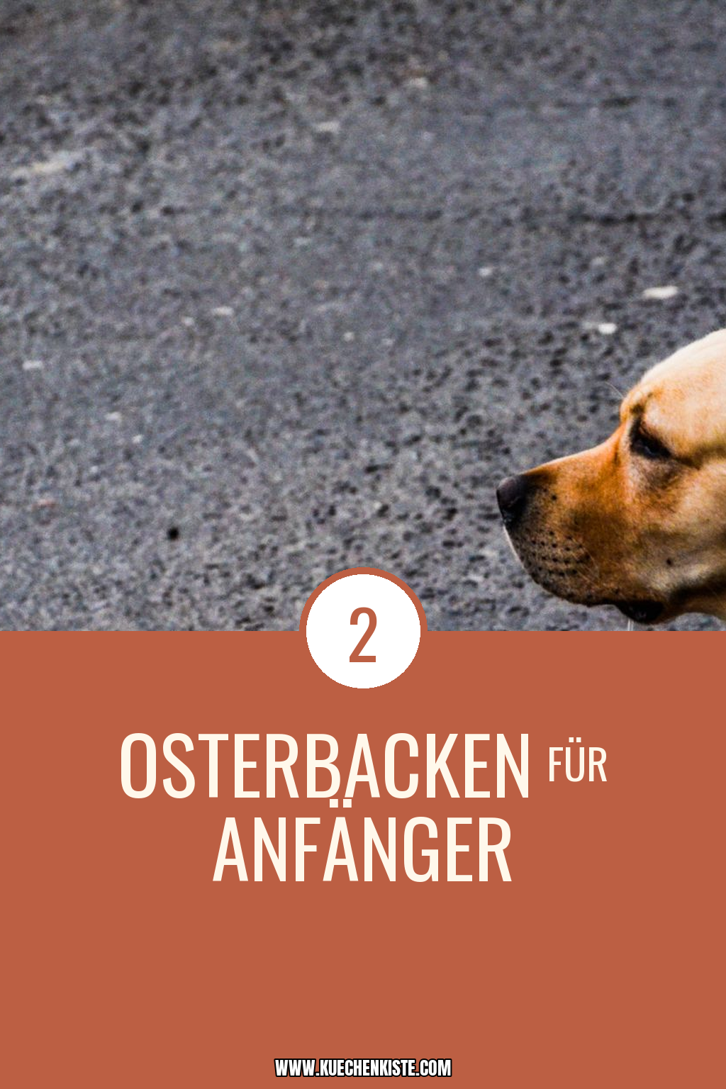 Pinterest Pin Osterbacken für Anfänger