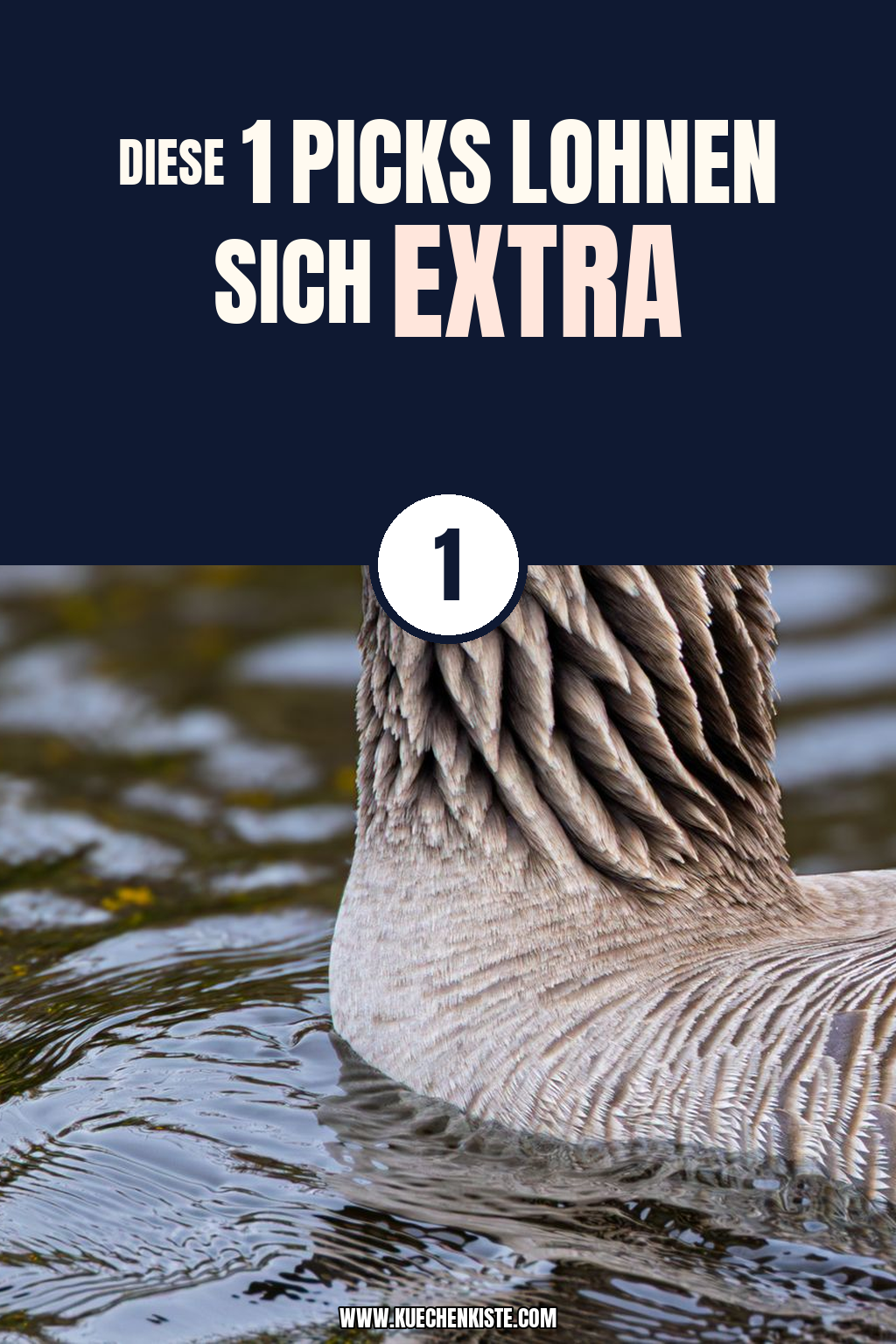 Pinterest Pin Diese 1 Picks lohnen sich extra