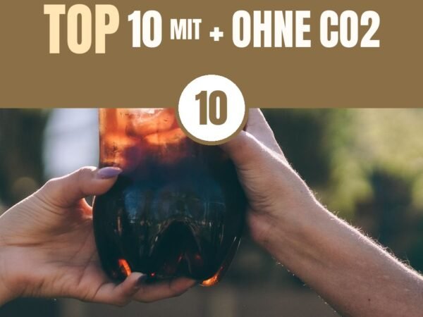 Beste Wassersprudler 2026: Top 10 mit + ohne CO2-Zylinder