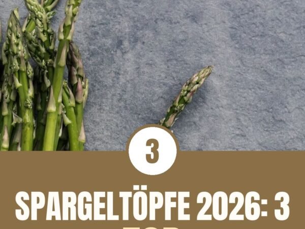 Spargeltöpfe 2026: 3 Top-Modelle + Spargel-Rezepte