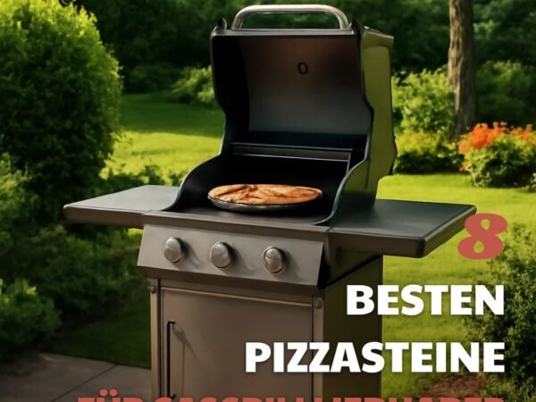 Die 8 besten Pizzasteine für Gasgrillliebhaber zuhause