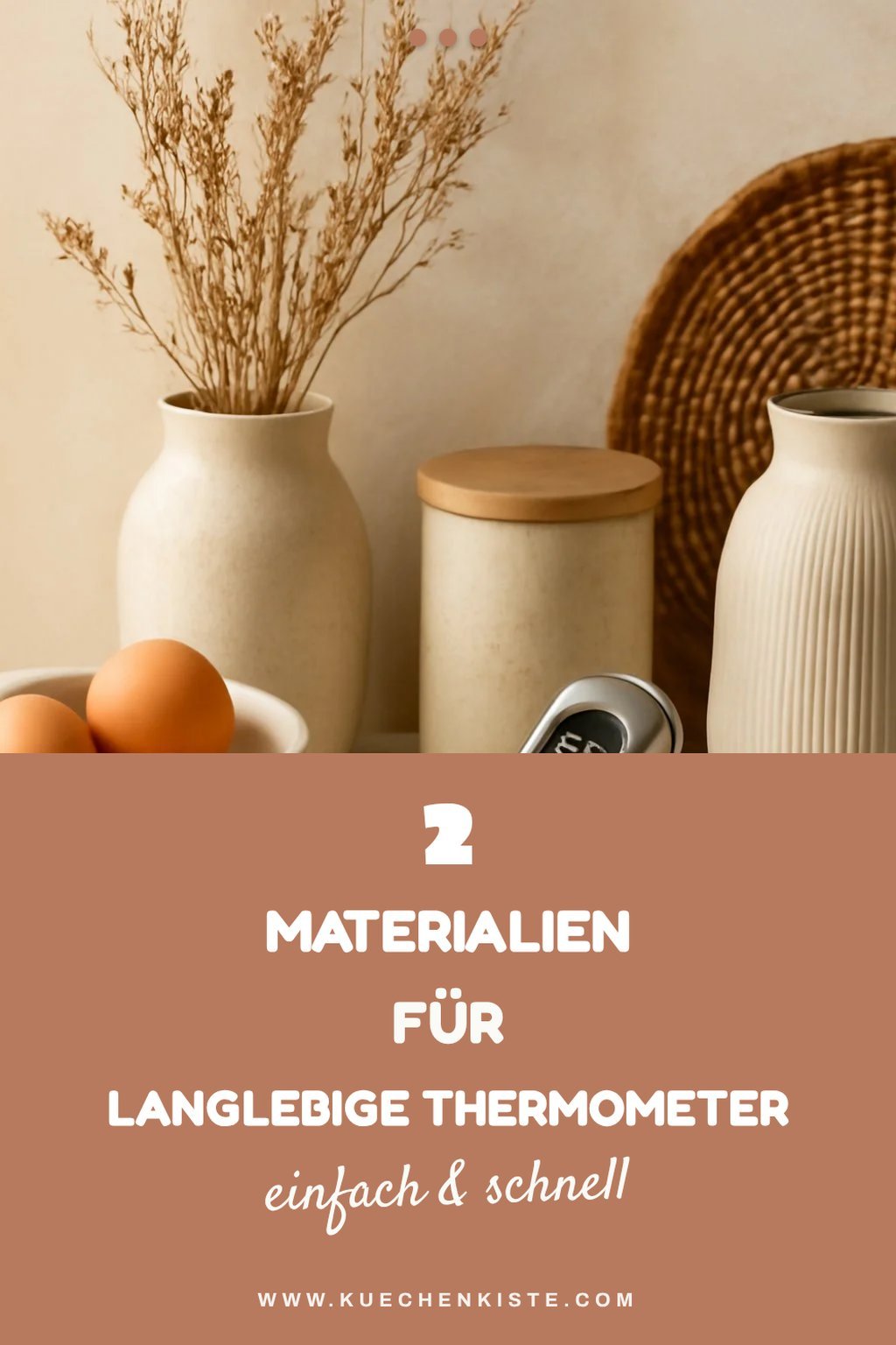 Die besten Materialien für Fleischthermometer