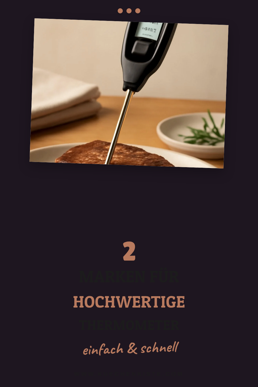 Die besten Marken für Fleischthermometer