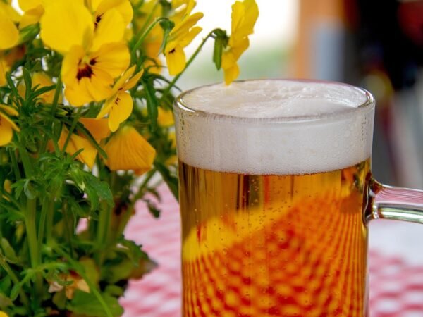 8 einfache Oktoberfest Rezepte für deinen Thermomix